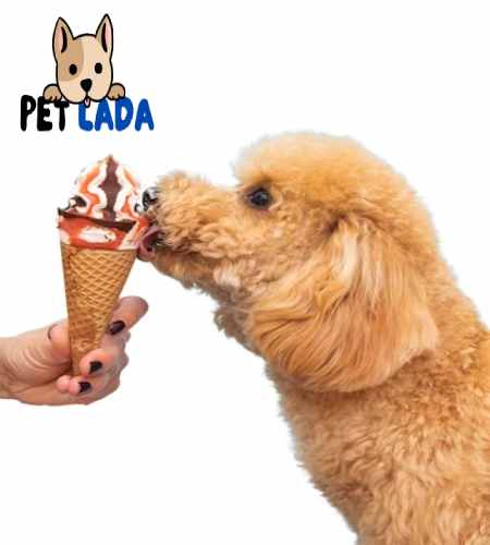 Can Dogs Eat Ice Cream? Is it Safe for Dogs