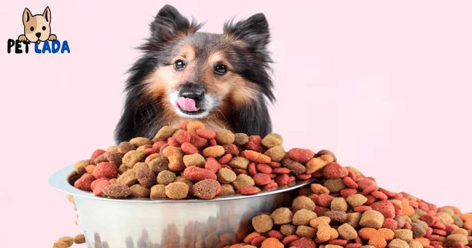 Choosing the Right Food for Your Dog (Petlada )