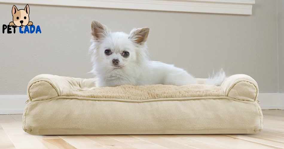 Furhaven Pet Sofa Style Dog Bed (Petlada)