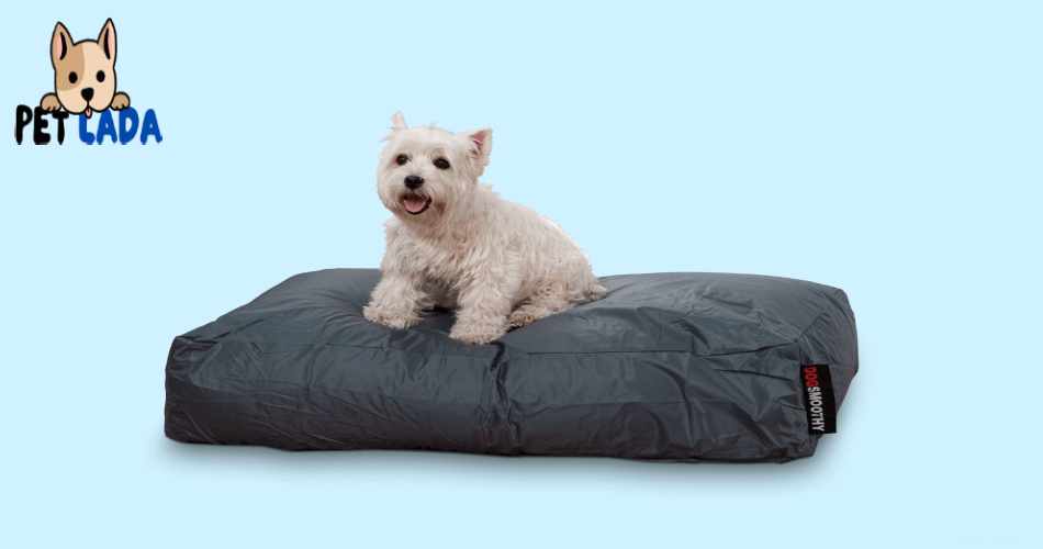 K9 Ballistic Tough Rectangle Pillow(Petlada)