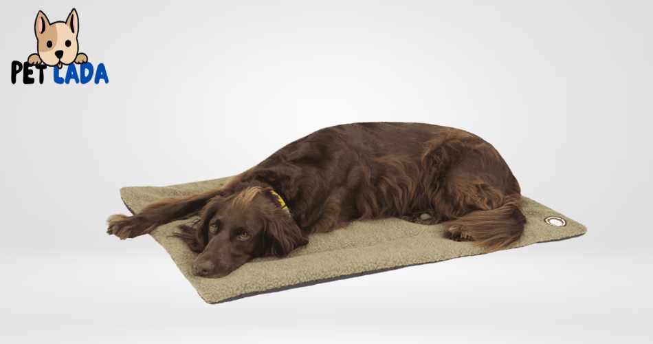 K&h Pet Product Electro Soft Heated Pet Bed. (Petlada)