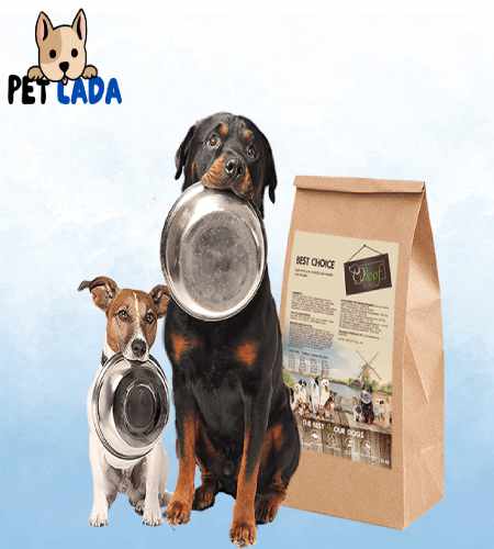 The Farmers Dog Food Review – Must Read This Before Buying